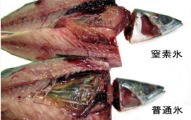 日本国内｜精密加工・金属部品関連企業