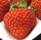 日本国内｜食品・健康関連企業