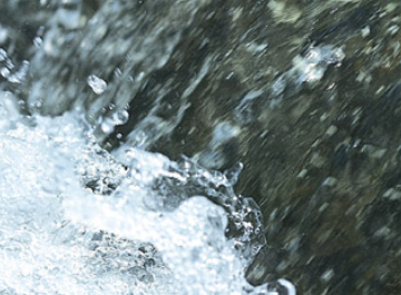 都市圏｜専門製造・技術関連企業